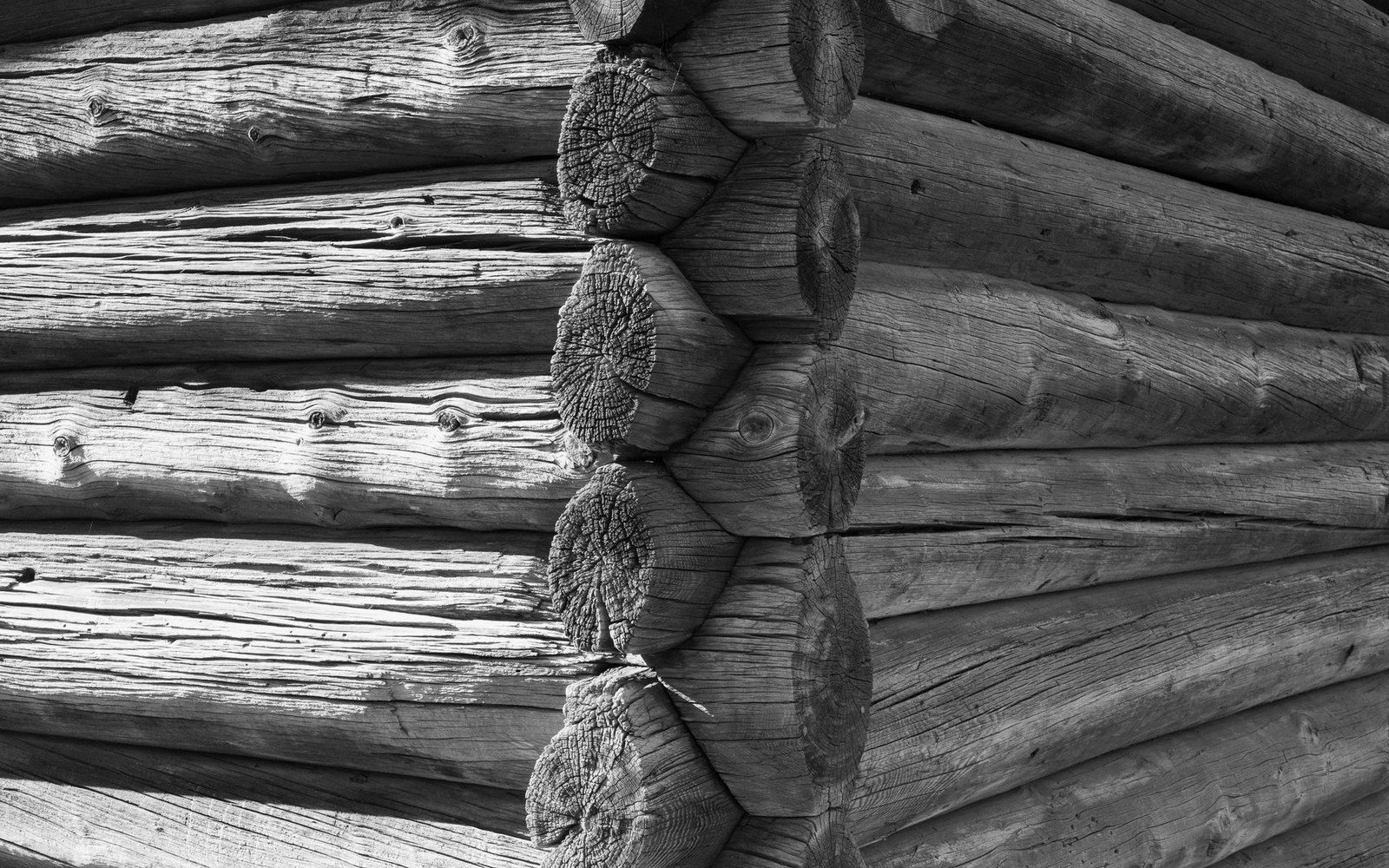 Corner joint of a log cabin showing interlocking notched log ends