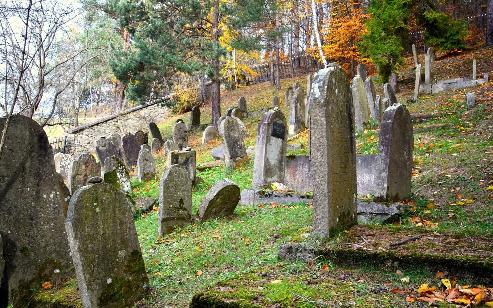 Weathered matzevot lean at angles across a grassy, sloped Jewish cemetery in autumn