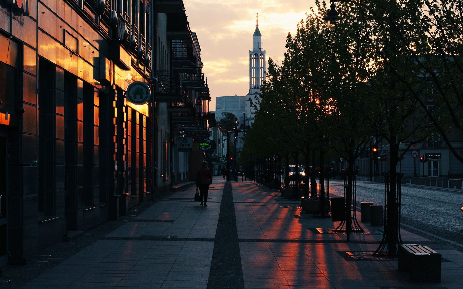 A pedestrian walks along a tree-lined pavement at sunset with a tower visible ahead