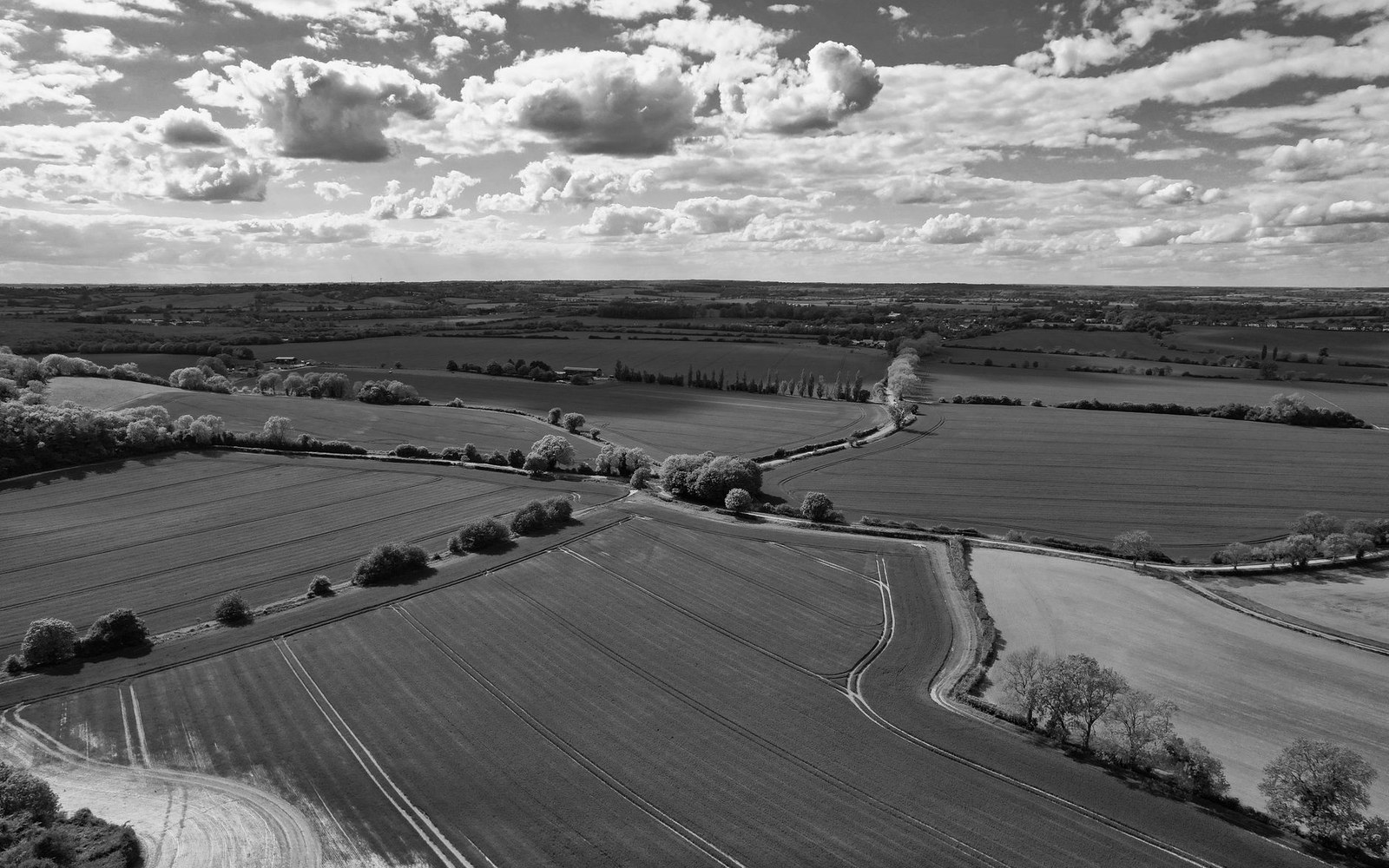 Flat Podlaskie agricultural fields under a wide overcast sky, a treeline at the horizon, no figures